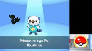 Souvenirs des jeux Pokémon sur DS : Blanc 2