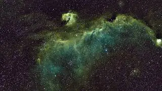 Sealgull Nebula & Christmas Tree Nebula (focal length 230mm)