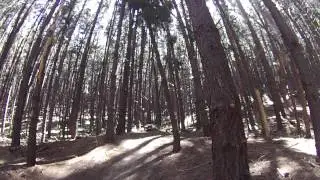 Brad Greenham at Kuitpo/Gate 19 Downhill