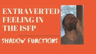 Extraverted Feeling in the ISFP: Shadow Functions!