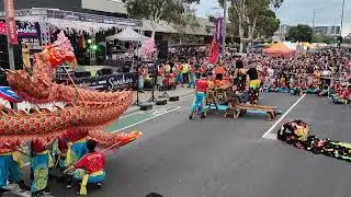 Lion Dance at Sunshine Lunar New Year festival 2026 Hội chợ Tết  @goplaces1 #festival #lunarnewyear 