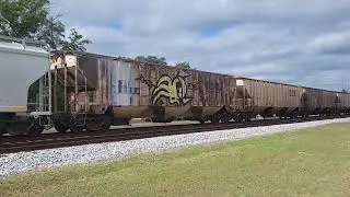 CSX #909 leads a unit train of cover hoppers NB at Folkston GA on12/3/25