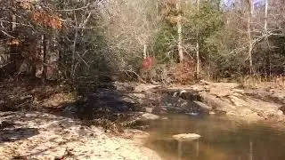 Rocky Branch shoals into Coldwater Creek    Elbert co Ga