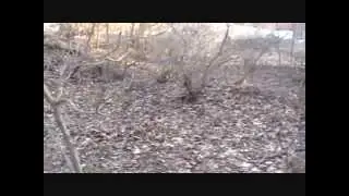 Penn Central Railbed