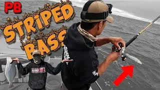 Personal Best Striped Bass + Ocean Halibut Fishing