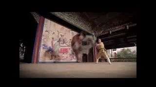 The Shaolin Master Fight against the Traitor. The Great Vajra Fist vs Five Elements Fist.