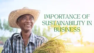 Importance of Sustainability for Small and Medium Enterprises
