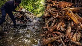 Fishing Local Shrimps 🦐 | Mountain Streams | Catfish and Shrimps 