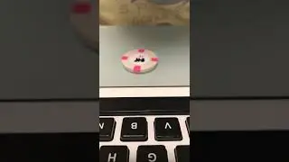 Removing Inlay Label Classic Poker Chip (CPC)