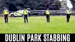 DUBLIN PARK STABBING - VICTIM IN CRITICAL CONDITION AFTER TEENAGE ROBBER KNIFE ATTACK
