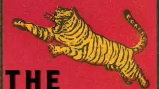 The Tiger Pit Podcast Episode #07 Amayo