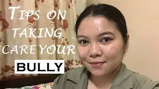 Tips on Taking Care Your American Bully x Pitbull | Bokya 009