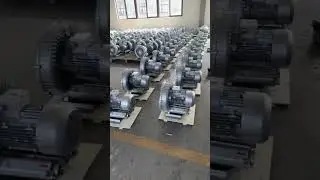 Ring blower supplier manufacturer