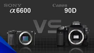 Sony alpha a6600 vs Canon EOS 90D
