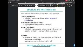 Biochemistry: Electron transport chain and ATP synthesis (part 1)
