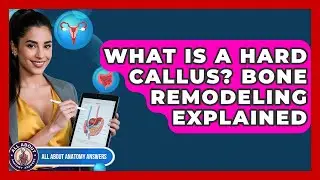 What Is A Hard Callus? Bone Remodeling Explained - All About Anatomy Answers
