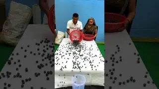 best cancha roll family challenges #shorts #game