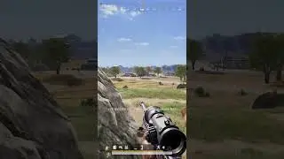 Some random sniper shots.