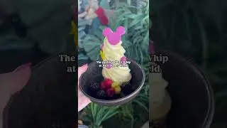 The Prettiest DOLE WHIP at Disney World