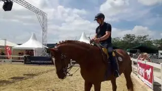 Schrittarbeit mit Ralf Döringshoff
