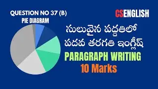 Pie Chart Paragraph Writing – 37B Model Answer