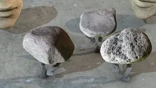 Walking Rocks