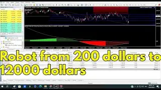 Automatic forex Robot from 200 dollars to 12000 dollars (work done in Real Account) for all brokers