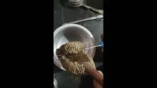 Well Its a Home, My Home