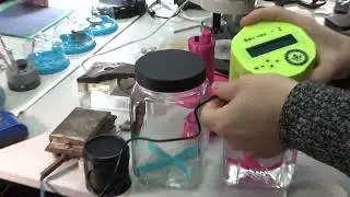 Мойка 2