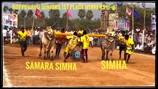 SIMHA AND SAMARASIMHA 1ST PLACE WINNERS IN KOPURAVURU SENIORS,distance covered :- 2550.8 ft in 25min