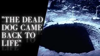 The Bottomless Hole That Brings Things Back To Life... | Full Story