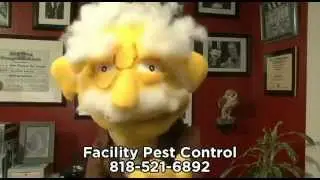 Pest Control Woodland Hills CA - Call Sam (818) 521-6892