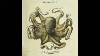 Bilateral Motion - Eight Limbs and Three Hearts