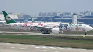 CẶP ĐÔI SIÊU QUẬY Hello kitty Boeing 777 Eva Air Đại Náo Sân Bay Tân Sơn Nhất