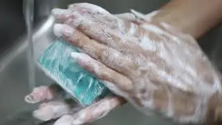 Primal Elements SoapBar, Plain and Simple