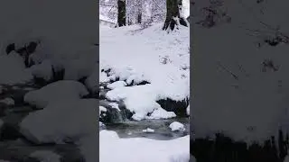 Relaxing water sounds #forest#naturevideos#winter#relaxvideos#relaxationmusic#snow#river#ice#shorts