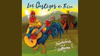 Por Un Te Quiero