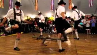 Holzhackerbaum - Alpenland Taenzer