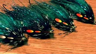 Senyo’s Stray Dog Spey Fly