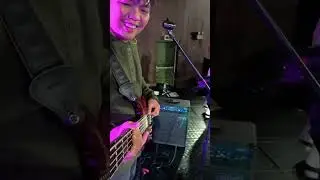 Till The Wall Come down - Planetshakers || Bass Cover