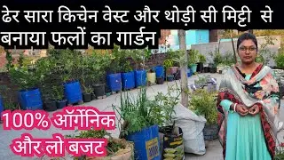 Terrace Fruit Garden with Kitchen Waste || Organic Fruit Garden || Zero Budget Orchard