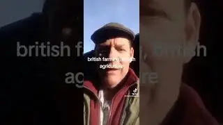 Британский фермер получил официальный документ, предписывающий сократить поголовье скота на 50% к...