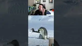 #adapt on #Twitch | Adapt lectures the penguin