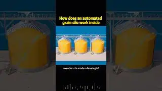 How does an automated grain silo work inside #knowledge #science