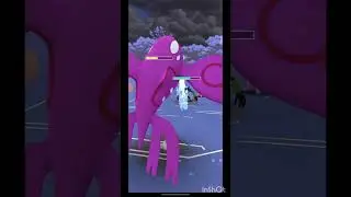 Kyogre oneshots Zarude in master league #pokemon #pokemongo #gaming #shorts #games #gobattleleague