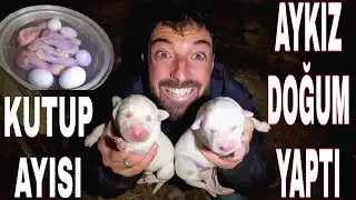 AYKIZDAN SÜRPRİZ~BEKLENEN DOĞUM!! AKBAŞ YAVRUSU DEĞİL KUTUP AYISI SANKİ