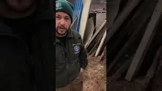 The terrible scenario of a dog meat farm