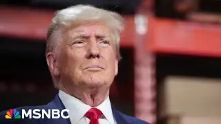 Illinois election board weighs removing Trump from primary ballot