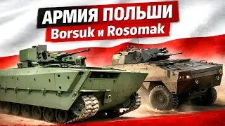 Беспредельно крутая парочка: польские Borsuk и Rosomak | Wojsko Polskie