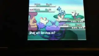 [IRL] LIVE REACTION!! Shiny Blitzle after 1,973 encounters - White #3 *100th shiny!*
